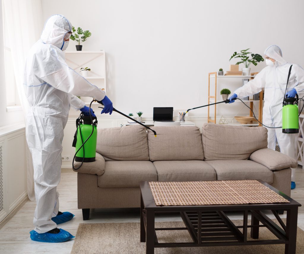Pest Prevention 101 Securing Your Home from Intruders